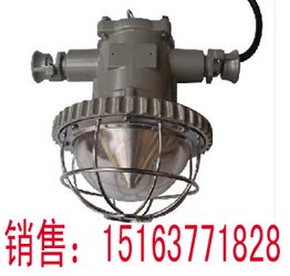 供应LED系列DGS12W/127L（B）防爆巷道灯