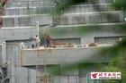 供应模板漆，隧道模板漆，建筑模板漆