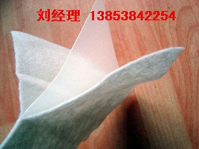 水产养殖专用新型防渗材料（复合土工膜）