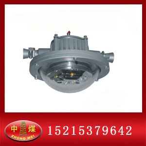 供应矿用LED 防爆巷道灯/矿用防爆巷道灯 DGS巷道灯/20W巷道灯