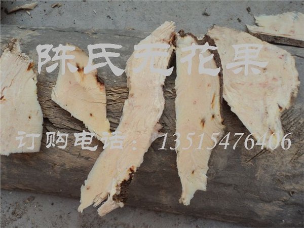 供应无花果根|无花果根片