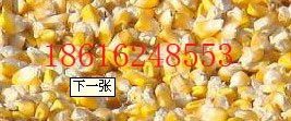 长期出售喷浆玉米皮