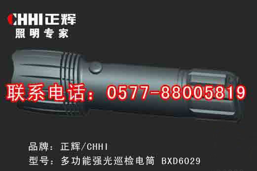 供应多功能强光巡检电筒 CON6029  正辉照明