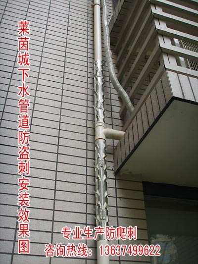 供应优质防盗刺