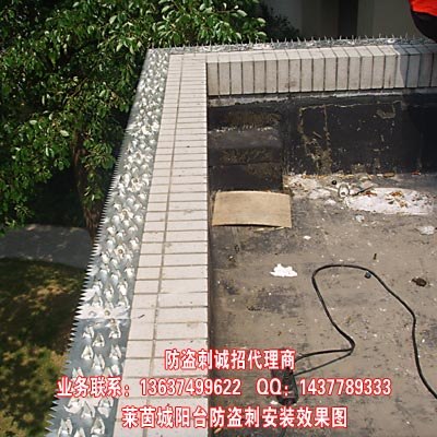 供应阳台防爬刺 阳台防盗