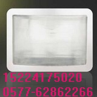 供应NSC9100 防眩通路灯 (NSC9100防眩通路灯，防眩应急通路灯)