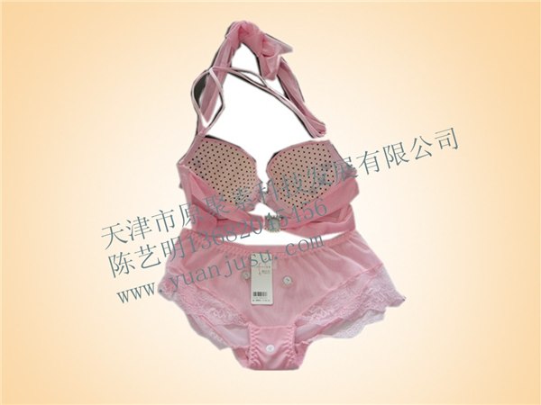 性感文胸