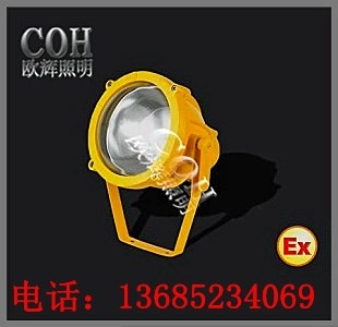 GB8401 防爆投光灯GB8401 