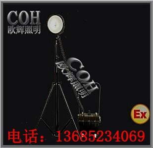 供应YF2350 强光防爆泛光工作灯YF2350 