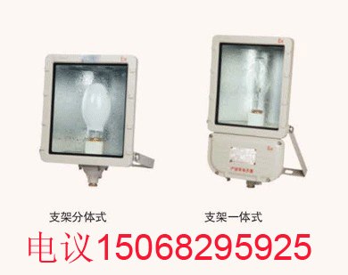 供应防爆泛光灯BFd96投光灯一体式 泛光灯