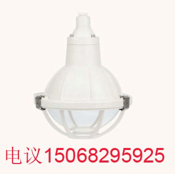 供应增安型防爆防腐灯 BGL200S防腐灯 隔爆灯