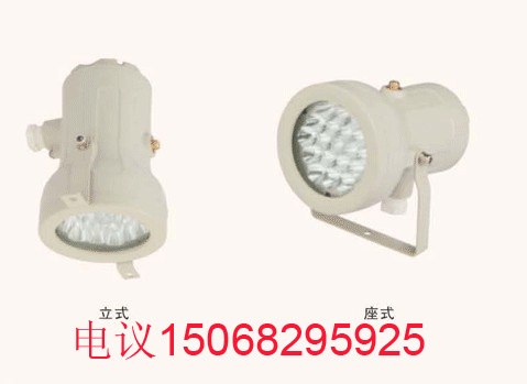 供应隔爆型防爆视孔灯，防爆白炽灯，防爆灯