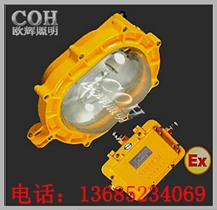 供应BFC8120内场防爆泛光灯，内场防爆强光灯