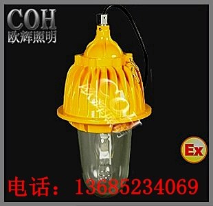 供应BFC8130内场防爆灯，内场防爆泛光灯