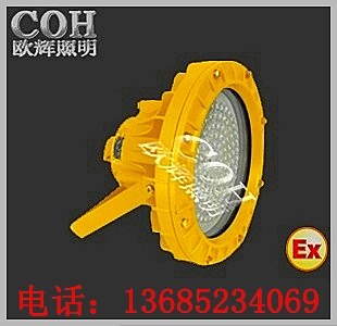 供应LED防爆投光灯，LED防爆灯，投光灯