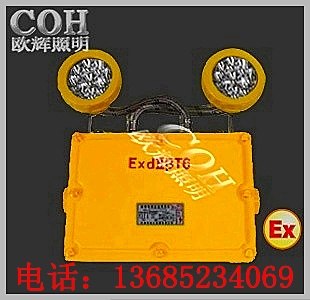 供应LED双头防爆应急灯，LED防爆应急灯，LED应急灯