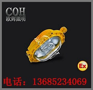 供应BFC8920内场粉尘防爆灯，粉尘内场防爆灯