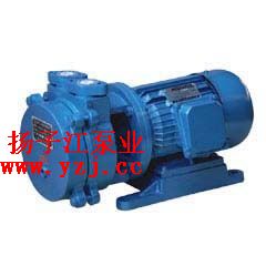 SK-0.15 直联水环式真空泵