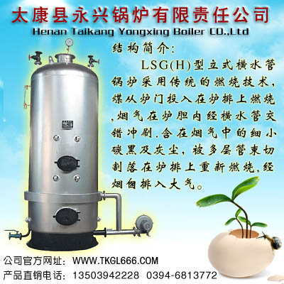 立式蒸汽锅炉