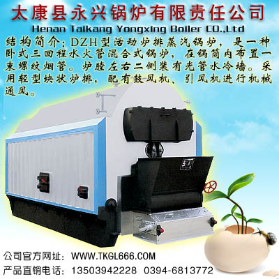 燃煤卧式蒸汽锅炉