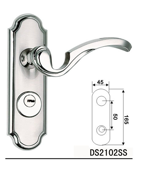 DS2102SS