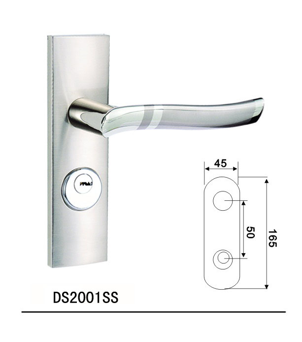 DS2001SS
