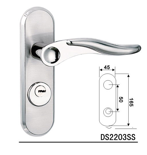 DS2203SS