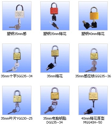 德利电力锁具
