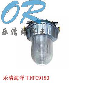 海洋王NFC9180防眩泛光灯