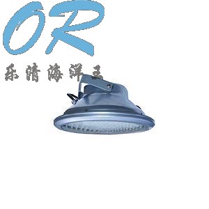 NXE9410A固态应急标识灯