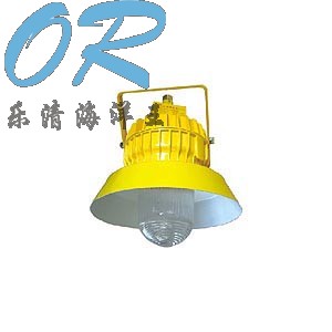 海洋王BPC8710防爆平台灯