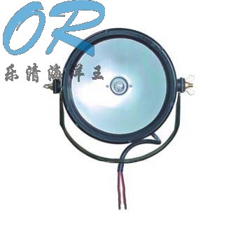DGY100/24 防爆工作灯