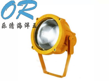 BTC8200.防爆投光灯