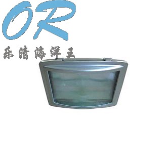 NSE9720,防眩应急通路灯