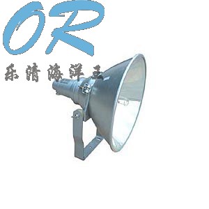 NTC9210,防震型投光灯