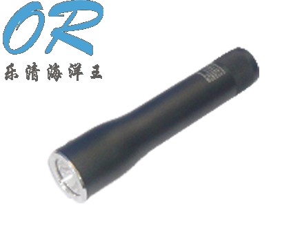 JW7620 防爆电筒