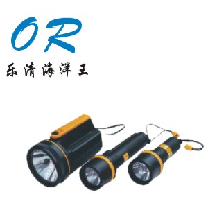 BDT 系列防爆手电筒