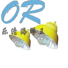 BPC8700 防爆道路平台灯