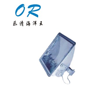 NTC9240高效大功率投光灯