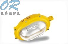 BFC8120 内场强光防爆灯