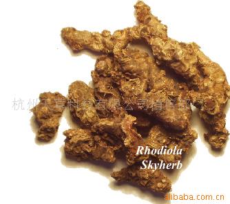 红景天提取物