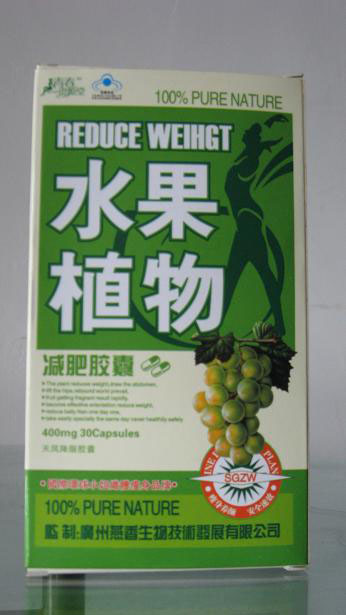 减肥 美容 瘦身 美白