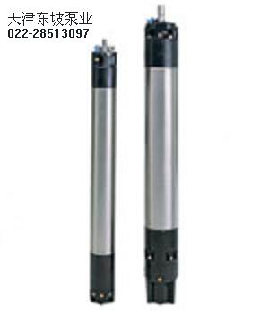 天津潜水电机