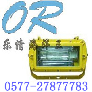 BFC8100防爆泛光灯