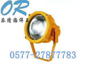 BTC8200防爆投光灯