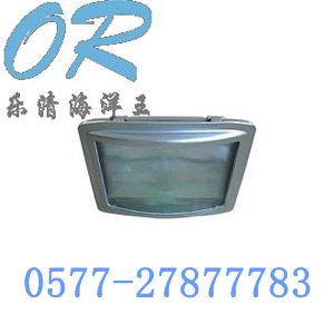 NSE9720防眩应急通路灯