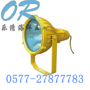 BTC8210防爆投光灯