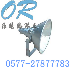 NTC9210防震投光灯