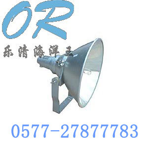 NTC9200防震投光灯