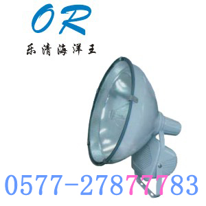 ZT6900防水投光灯
